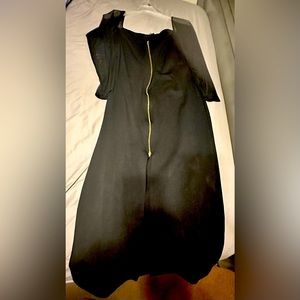 Dress with sheer sleeves. Front zip